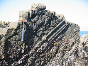 20060317-0000_a0003.jpg