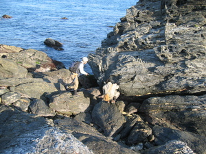 20060317-0000_a0004.jpg