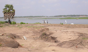 20050612-0000_a0001.jpg