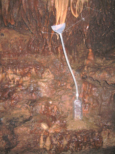 20060531-0000_a0007.jpg