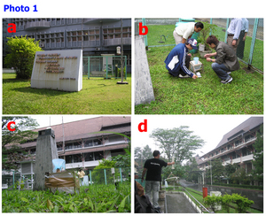 20070327-0000_a0001.jpg